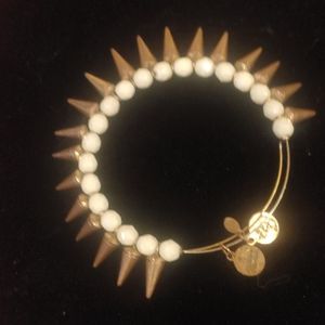 Alex and Ani charm bracelet